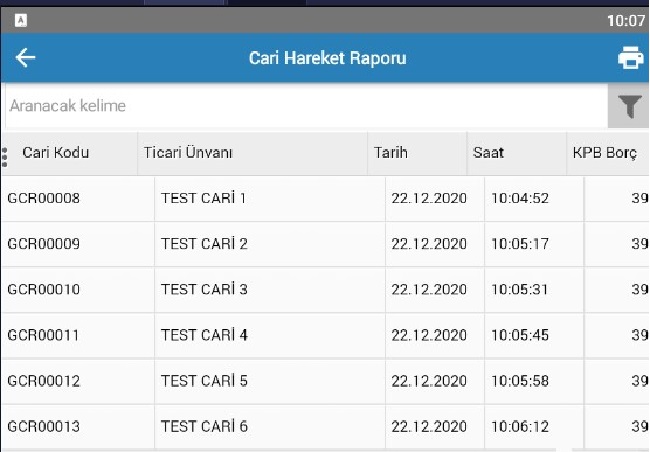 Cari Hareket Raporu